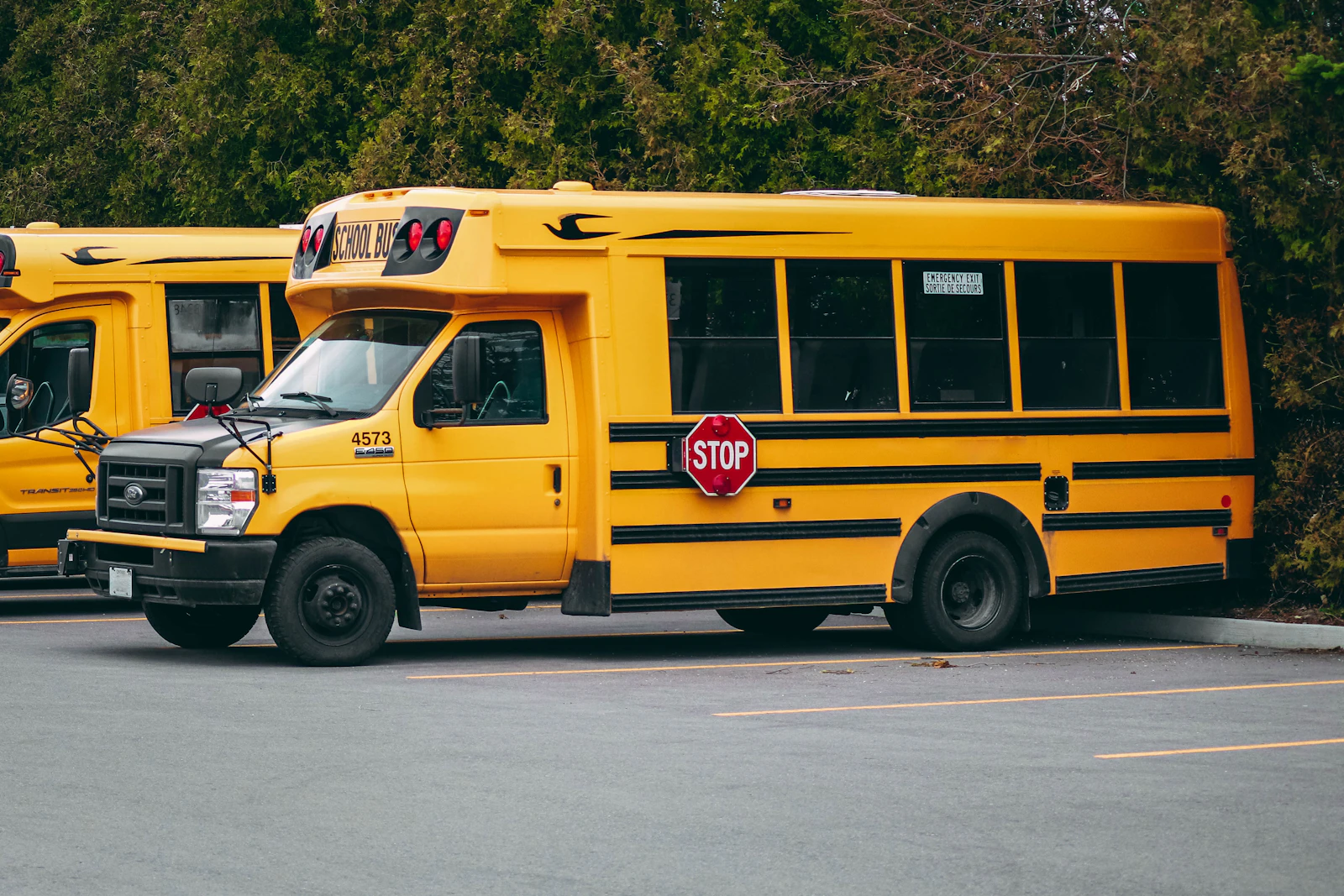 Amerikanisches Schulsystem: Bildung in den USA von Kindergarten bis College