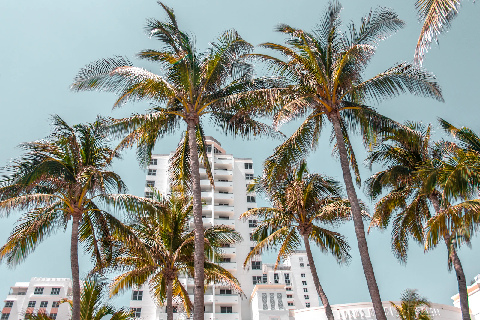 Florida, der Sunshine State der USA: Klima, Kosten, Gesetze und Ausflugsziele